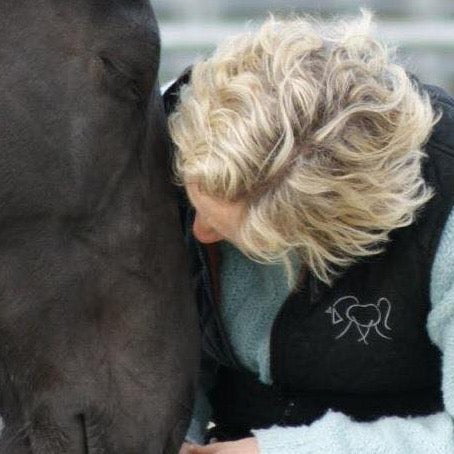 Humans and Horses. A love affair.